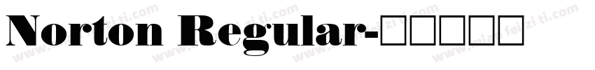 Norton Regular字体转换